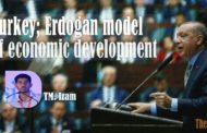Turkey- Erdogan Model of economic development